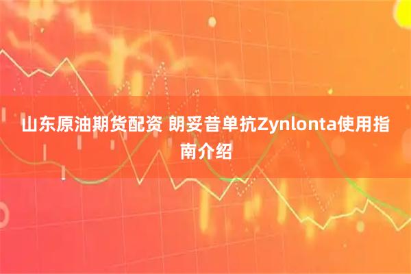 山东原油期货配资 朗妥昔单抗Zynlonta使用指南介绍