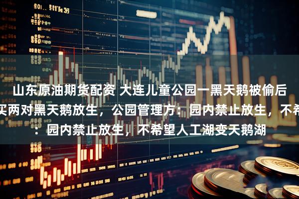 山东原油期货配资 大连儿童公园一黑天鹅被偷后，两拨市民先后购买两对黑天鹅放生，公园管理方：园内禁止放生，不希望人工湖变天鹅湖