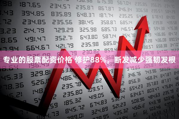 专业的股票配资价格 修护88%，断发减少强韧发根