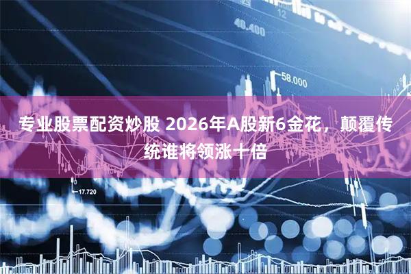 专业股票配资炒股 2026年A股新6金花，颠覆传统谁将领涨十倍