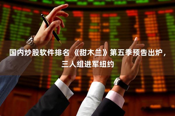 国内炒股软件排名 《甜木兰》第五季预告出炉，三人组进军纽约